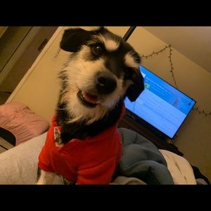 Meet your Posher, Andy